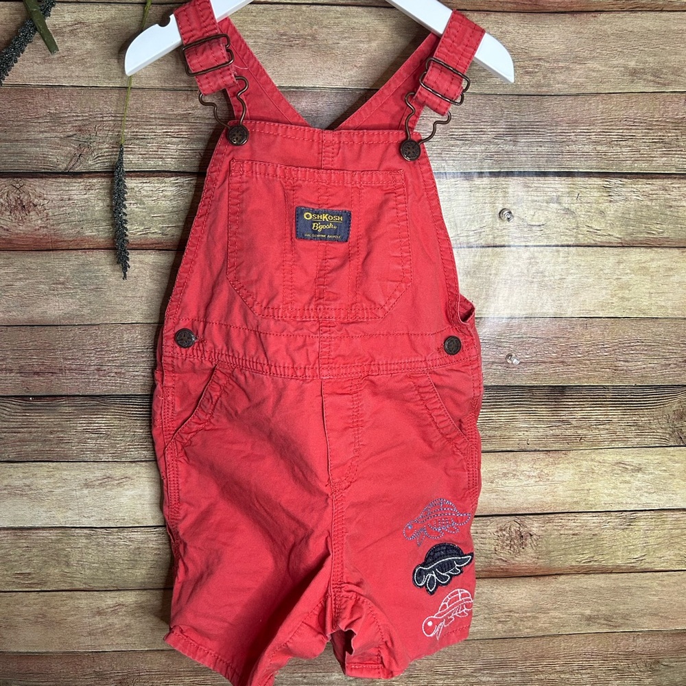 Oshkosh B’gosh Toddler Boy Overalls Turtle Embroidered Size 24 Months